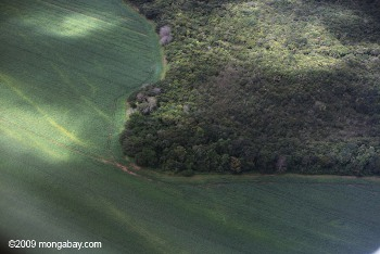 Soy and forest in the Amazon. Photo by: Rhett A. Butler.