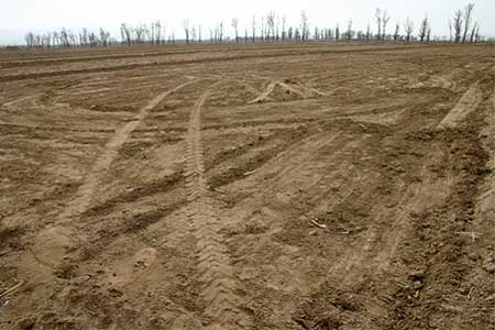 Soil degradation due to excessive tillage, Alxa League, Inner Mongolia. Asian Development Bank