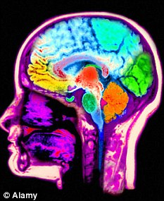 The moral compass, technically named the right temporo-parietal junction, lies just behind the right ear in the brain. Alamy The moral compass, technically named the right temporo-parietal junction, lies just behind the right ear in the brain. Alamy