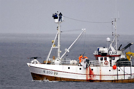 Whaling in Norway. Photo via cretananimalwelfare