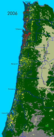 Aerial Survey Map of Swiss needle cast infections in 2006, provided by Oregon Department of Forestry. Yellow represents DF plantations that were considered moderately infected. Red represents DF plantations that look heavily infected (thin, yellow crowns). via Swiss Needle Cast Cooperative