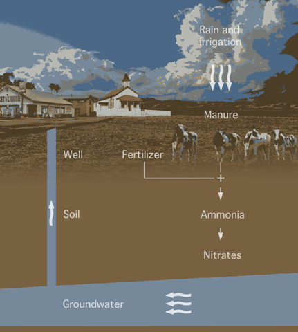 Nitrate contamination of groundwater. Millions of Californians have been exposed to harmful levels of nitrates in their water over the past 15 years. californiawatch.org