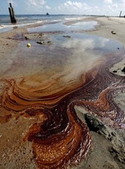 Oil covers a beach across the bridge from Grand Isle at Caminda Bay Thursday, 20 May 2010. John McCusker / The Times-Picayune