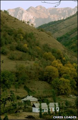 Kyrgyzstan's forests are home to the ancestors of domestic apples