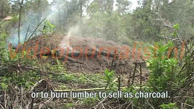 Illegal charcoal kiln in Mau forest. Evictions Mau forest, Kenya. Ruud Elmendorp
