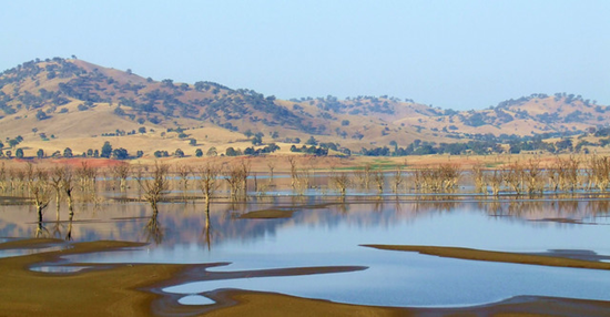 The Hume Weir which is the major water source for all of the Wodonga / Albury area controls the flow of water down the Murray-Darling the weir is down to 3% capacity the trees in this pic are normally under water and now you can see the mud flats it is so hot and with bushfires burning over Victoria we are really experiencing Global warming and Greenhouse emmission for real. The Hume Weir at this time last year was at Capacity. Uploaded by: ozcazz, 2007