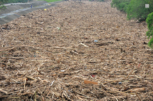 Chishen, Taiwan: A man walks by a river filled with wood and debris from typhoon Morakot. Photograph: Sam Yeh / AFP / Getty Images