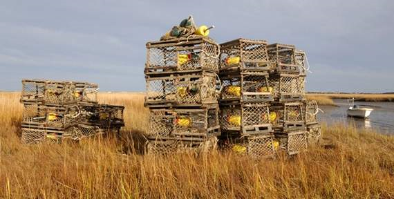 Idled lobster traps at Cape Cod. Regulators say warmer seas are the reason traps in Buzzards Bay have come up increasingly empty in the last decade. Cape Cod Times File / Steve Heaslip