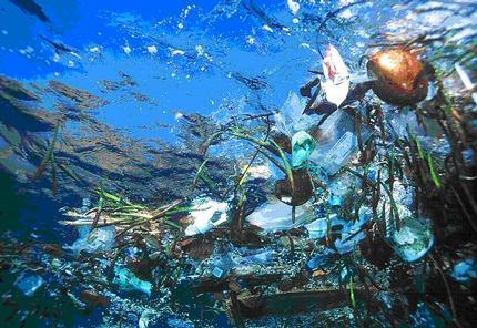 Plastic trash in the ocean. Photo from the Algalita Marine Research Foundation, algalita.org