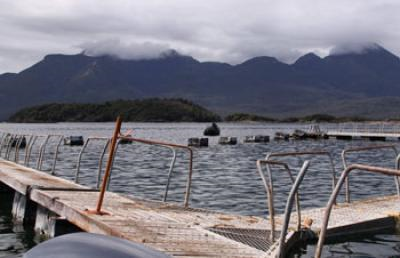 This is an abandoned salmon farm in a fjord north of the Ays&eacute;n region of Chile. Credit: Image: Heike Vester, MPI for Dynamics and Self-Organization