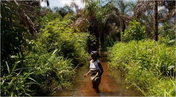 Hannah Baage walked through polluted Gio Creek in Kegbara Dere, Nigeria. She said recently, 'There is Shell oil on my body.' Jane Hahn for The New York Times