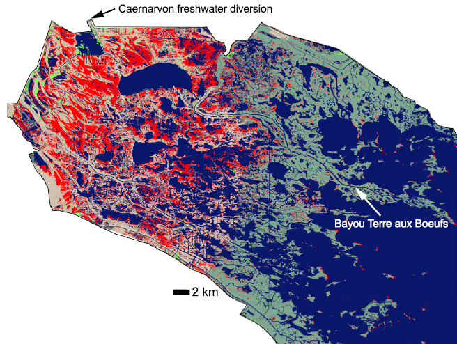 Land loss in Breton Sound on the Louisiana coastal plain. Low salinity (fresh and intermediate combined) marsh experienced more than twice as much land loss by percent than high salinity (brackish and saline combined) marsh. The failure of low salinity wetlands was focused in the interior regions of Breton Sound, the western chenier plain, and the more exposed regions of the Birdfoot and Wax Lake deltas. Howes, et al., 2010