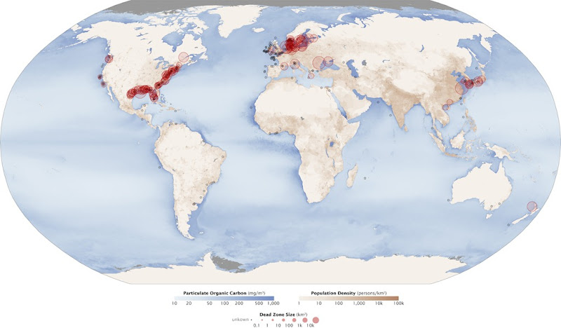 Aquatic dead zones, acquired January 1, 2008. Map by Robert Simmon & Jesse Allen; based on data from Robert Diaz, Virginia Institute of Marine Science (dead zones); the GSFC Ocean Color team (particulate organic carbon); and the Socioeconomic Data and Applications Center (SEDAC) (population density) via earthobservatory.nasa.gov