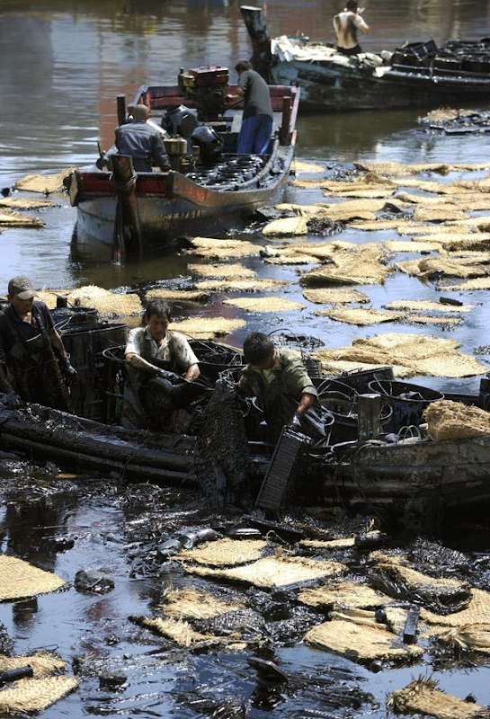 Workers on Tuesday collect the oil recovered from water outside a dock in the port city of Dalian, in China's northeastern Liaoning province. An oil spill in northeastern China may have been about 60 times bigger than the government reported, ranking it among the world's worst known oil disasters, an environmental group said on July 30, 2010. LIU JIN / AFP/ GETTY IMAGES