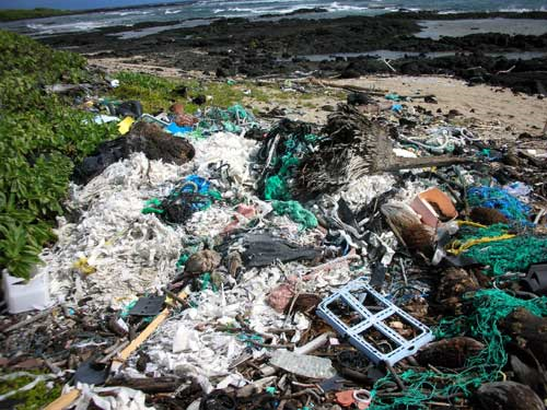 Garbage washed up on island beaches in the Indian Ocean. Photo: 5 Gyres Institute
