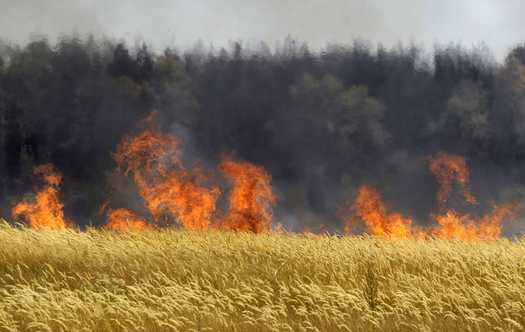 In this Saturday, July 31, 2010, file photo a field of unidentified cereals burning near the town of Voronezh some 500 km (294 miles) south of Moscow, after weeks of searing heat and practically no rain. A severe drought destroyed one-fifth of the wheat crop in Russia, the world's third-largest exporter, and now wildfires are sweeping in to finish off some of the fields that remained. AP Photo / Mikhail Metzel, File
