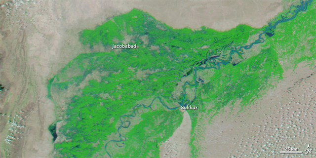 The Moderate Resolution Imaging Spectroradiometer (MODIS) on NASA’s Aqua satellite captured this image of the Indus River around the city of Jacobabad, August 18, 2009. This image uses a combination of infrared and visible light to increase the contrast between water and land. Water appears in varying shades of blue, vegetation is green, and bare ground is pinkish brown. Clouds are bright turquoise. NASA images courtesy the MODIS Rapid Response Team at NASA GSFC