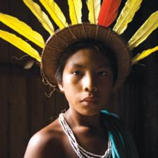 Barasana people of the Northwest Amazon of Colombia believe that man and nature are one. Their philosophy of interconnectedness has given rise to land management practices that minimize the impact of the Barasana on the environment. In 1991 the Colombian government granted the Indian peoples of the Northwest Amazon legal land rights to an area the size of the U.K. Thanks to that decision, the once endangered Barasana are experiencing a powerful rebirth. They are among the rare lucky ones. Wade Davis
