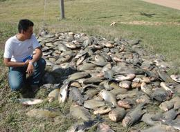 The San Julián fish farm in the Santa Cruz department of Bolivia lost 15 tonnes of pacú fish in the extreme cold. Never Tejerina