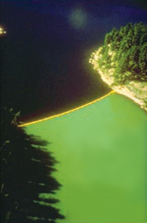 In order to test what causes eutrophication, scientists used a curtain to separate two sides of a Canadian Lake. Carbon and nitrogen were added to both sides while phosphorus was added to only one side. A large algal bloom and consequent eutrophication is visually evident on the side where carbon, nitrogen, and phosphorus were added. Schindler 2006 / lakescientist.com
