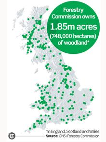 Britain's Forestry Commission owns 1.85 million acres (748,000 hectares) of woodland. ONS / Forestry Commission
