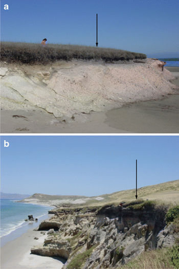 Archaeological sites rich in shellfish and animal bones on Santa Rosa Island. A. CA-SRI-190 is a 25 cm thick deposit perched on a low lying marine terrace adjacent to the shore. B. CA-SRI-701 is a 50 cm thick deposit adjacent to the coast and several meters high on an eroding sea cliff. Arrows note the dark bands of archaeological materials. Such sites are typical of the location of archaeological sites on the Santa Barbara Channel. Reeder, et al., 2010