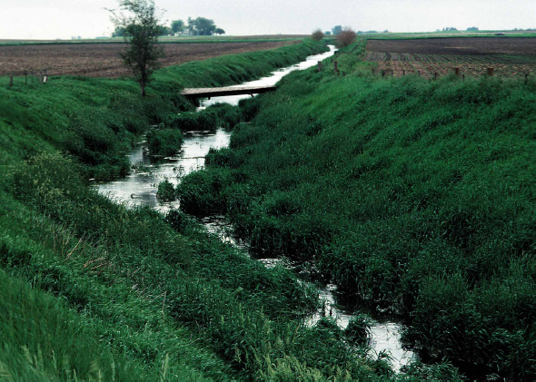 Drainage ditches in the Midwest carry nutrient-laden water into larger rivers and ultimately major waterways such as the Mississippi River and Gulf of Mexico. Photo: Lynn Betts, USDA Natural Resources Conservation Service / environmentamerica.org