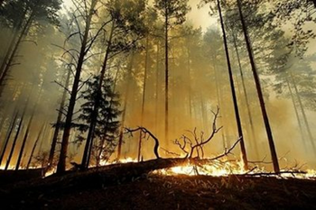 A forest fire burns in Russia in August 2010. Global warming is driving forest fires in northern latitudes to burn more frequently and fiercely, contributing to the threat of runaway climate change, according to a study released Sunday, 5 December 2010. AFP / File / Natalia Kolesnikova
