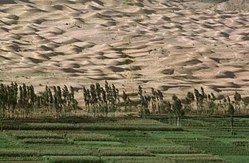 The Sanbei forest belt, a massive project launched in 1978 in north China, has effectively contained desertification and helped farmers find jobs, a forestry official said Wednesday, 17 June 2009. China is creating a 4,500 km (2,800 mi) long forest belt to control sandstorms pushing forward the sands of the Gobi desert. china.org.cn