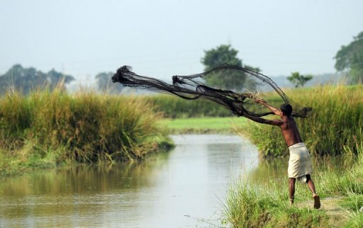 Bangladesh's rivers have provided for fisherman Rafiqul Islam's family for generations but a few years ago the 27-year-old noticed his nets were coming up empty. A recent study stated that at least 25 of the freshwater species of fish are now extinct. AFP
