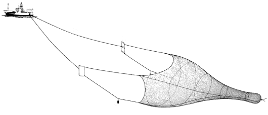 A single-vessel otter trawl - the net is spread open by large boards known as 'otter boards.' Two-vessel trawling operations can dispense with the otter boards, and also make use of much larger (in some cases enormous) nets. njscuba.net