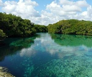 Sinkholes (or 'cenotes') provide a potential route for contamination of the flooded underground cave system aquifers of the Yucatan Peninsula. Credit: Hanneke van Lavieren, UNU Institute for Water, Environment and Health