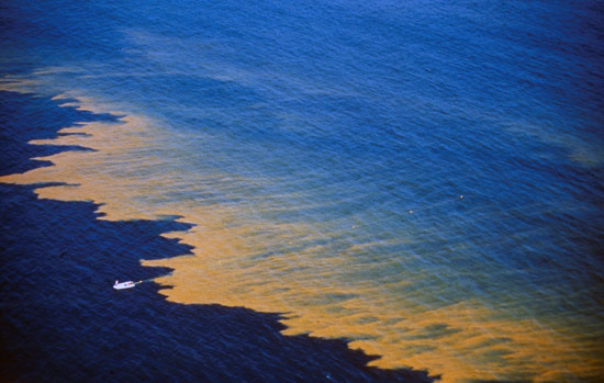 A 'red tide' of blooming algae stretched more than 20 miles along the coast near La Jolla, CA, in spring 1995. Blooms can be harmless, such as this one (the dinoflagellate Noctiluca scintillans), but blooms of some algae, including Alexandrium, can harm human health, coastal economies, and marine ecosystems. Peter Franks, Scripps Institution of Oceanography / oceanleadership.org