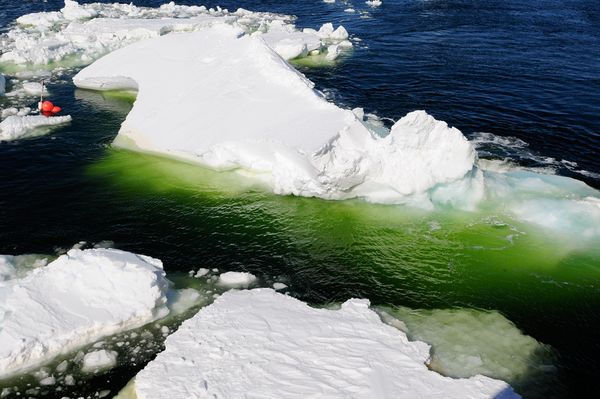 The emerald green waters of a polynya algae bloom in Antarctic sea ice. David Munroe, USAP / nationalgeographic.com