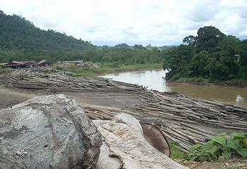 A logpond on Sarawak's Limbang River. Photo courtesy Bruno Manser Fund / ENS