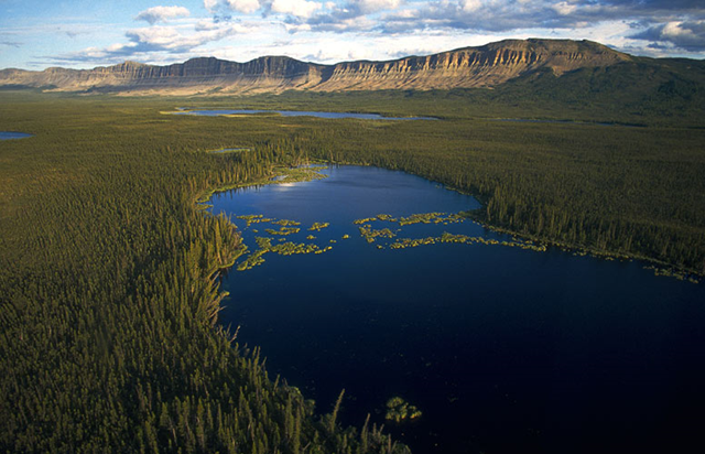 Canada's boreal forest comprises the world's largest water source. D. Langhorst / Ducks Unlimited / pewenvironment.org