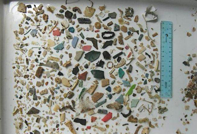 The debris from the stomach of a green sea turtle. Hundreds of shards reveal the threat to wildlife from debris floating in our seas. independent.co.uk