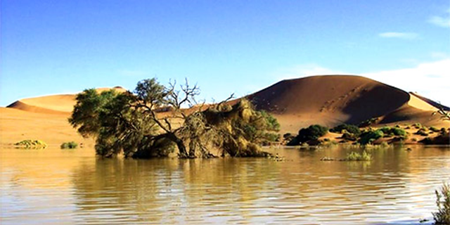 Record flooding in the Sossusvlei region of Namibia's Namib Desert, February 2011.  Jennifer Dickinson, Dawie Minaar, and Kobus Bekker / considerafrica.com