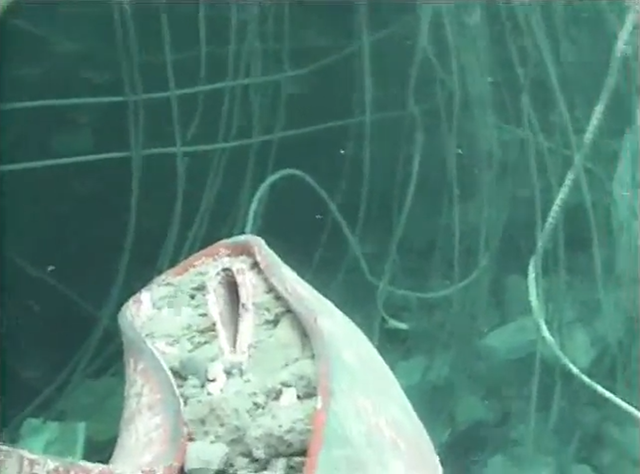 Inside the demolished spent fuel pool of Reactor Unit 3 at the Fukushima Daiichi nuclear plant, 8 May 2011. TEPCO