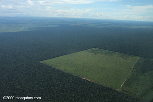 Aerial view of Amazon forest clearing. Photo by Rhett Butler, 2009