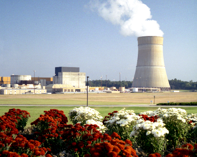 Grand Gulf Nuclear Power Plant and pretty flowers. Southern Nuclear / nrc.gov