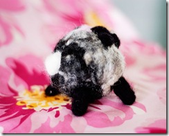 Petunia3