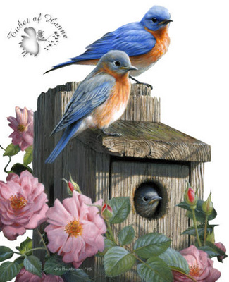 LAMINAS PARA DECOUPAGE 3