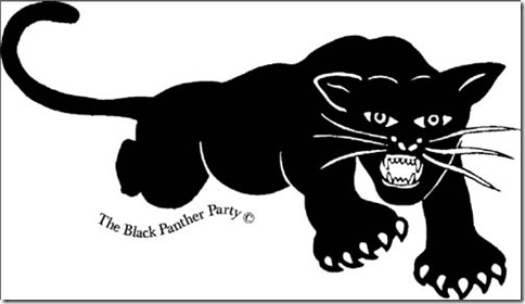 Black Panther logo