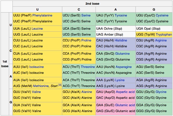 Genetic code - Wikipedia, the free encyclopedia.jpg