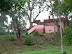 P1100539.JPG