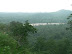 P1100547.JPG