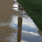 IMG_1950.JPG