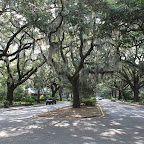 IMG_3361.JPG