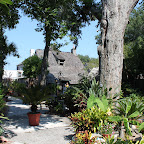 IMG_3416.JPG